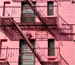 Facade rose - West Village